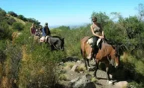 Paisaje de montaña 5