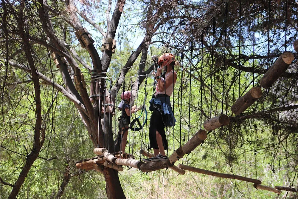 Paisaje de montaña 10