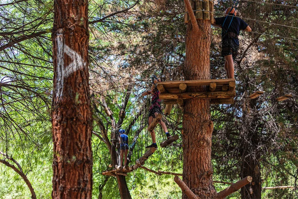 Paisaje de montaña 14