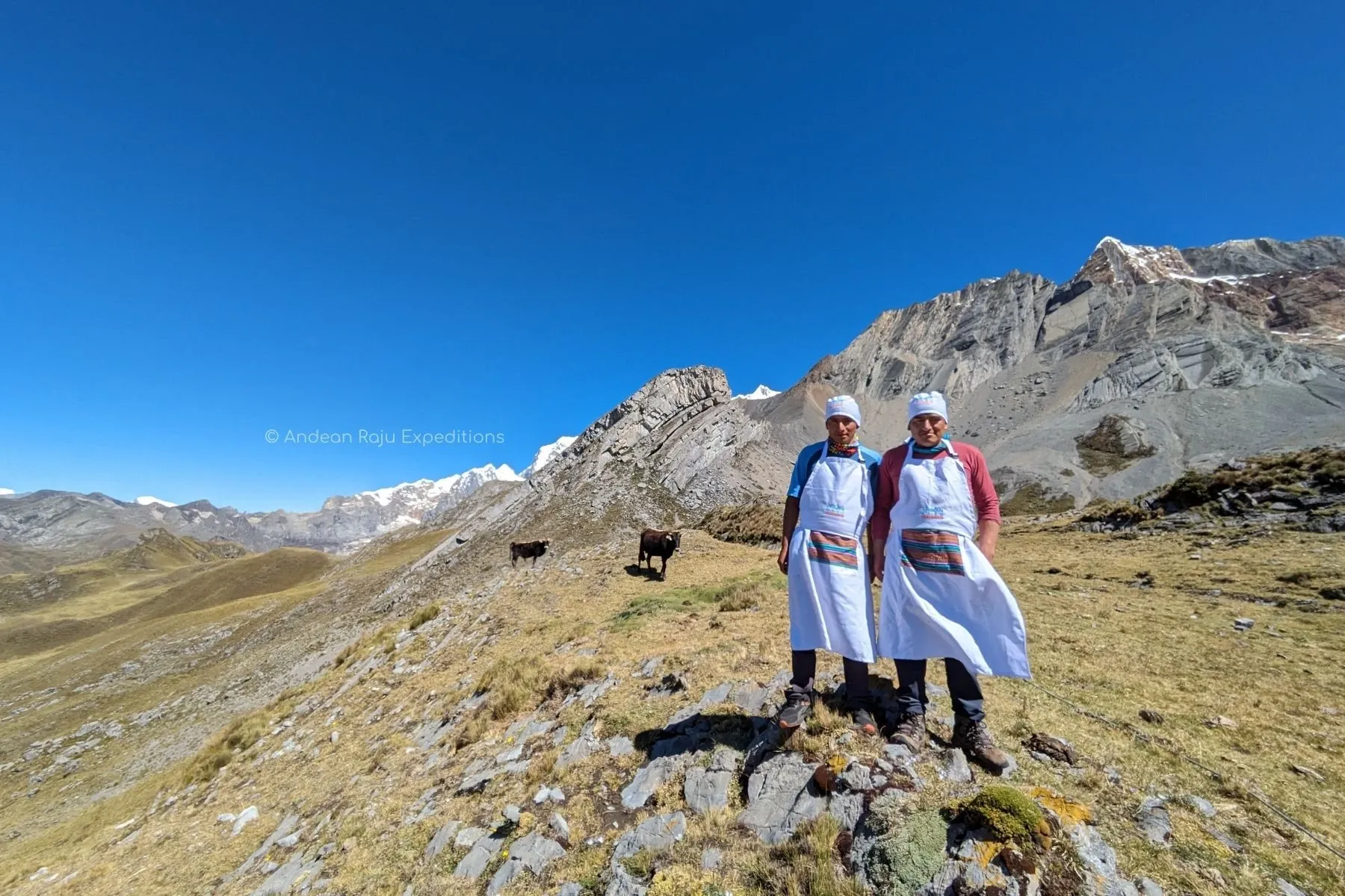 Paisaje de montaña 6