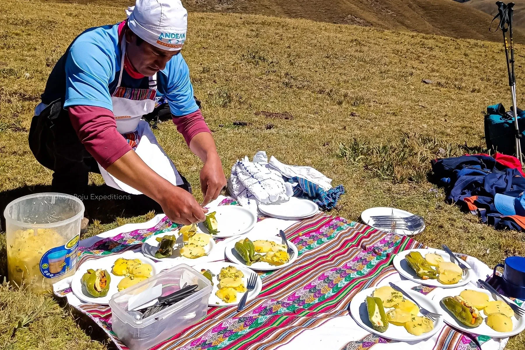 Paisaje de montaña 13