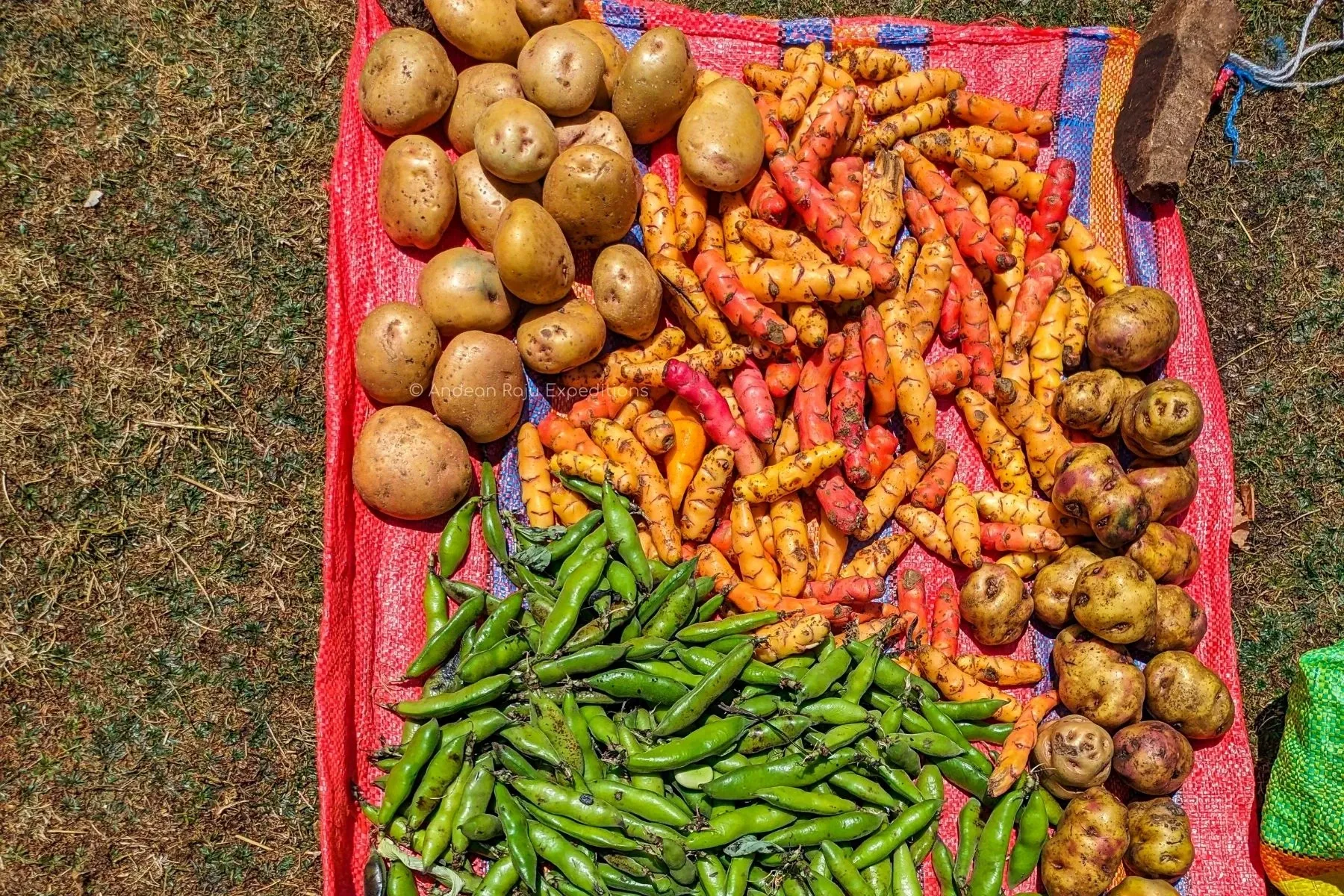 Paisaje de montaña 18