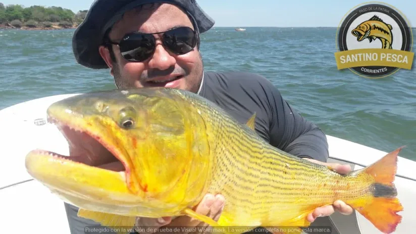 Paisaje de montaña 11