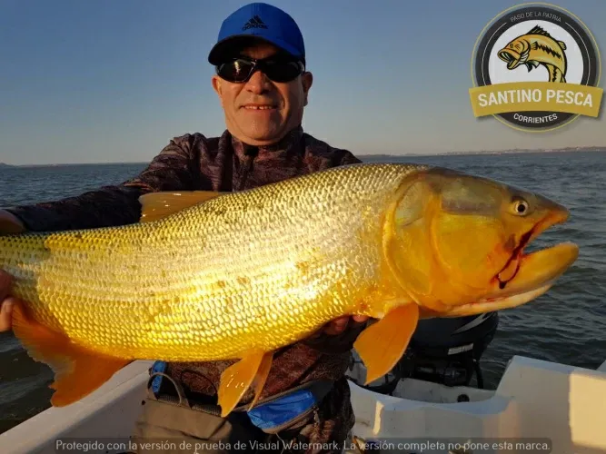 Paisaje de montaña 13