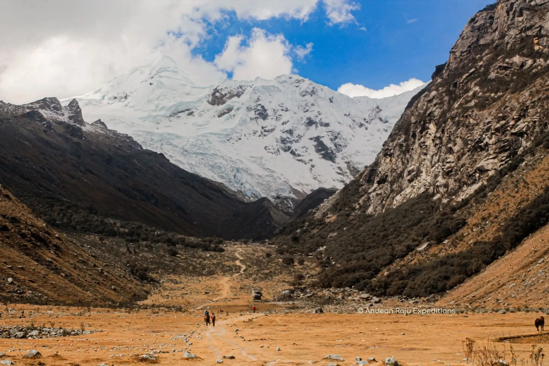 Paisaje de montaña 9