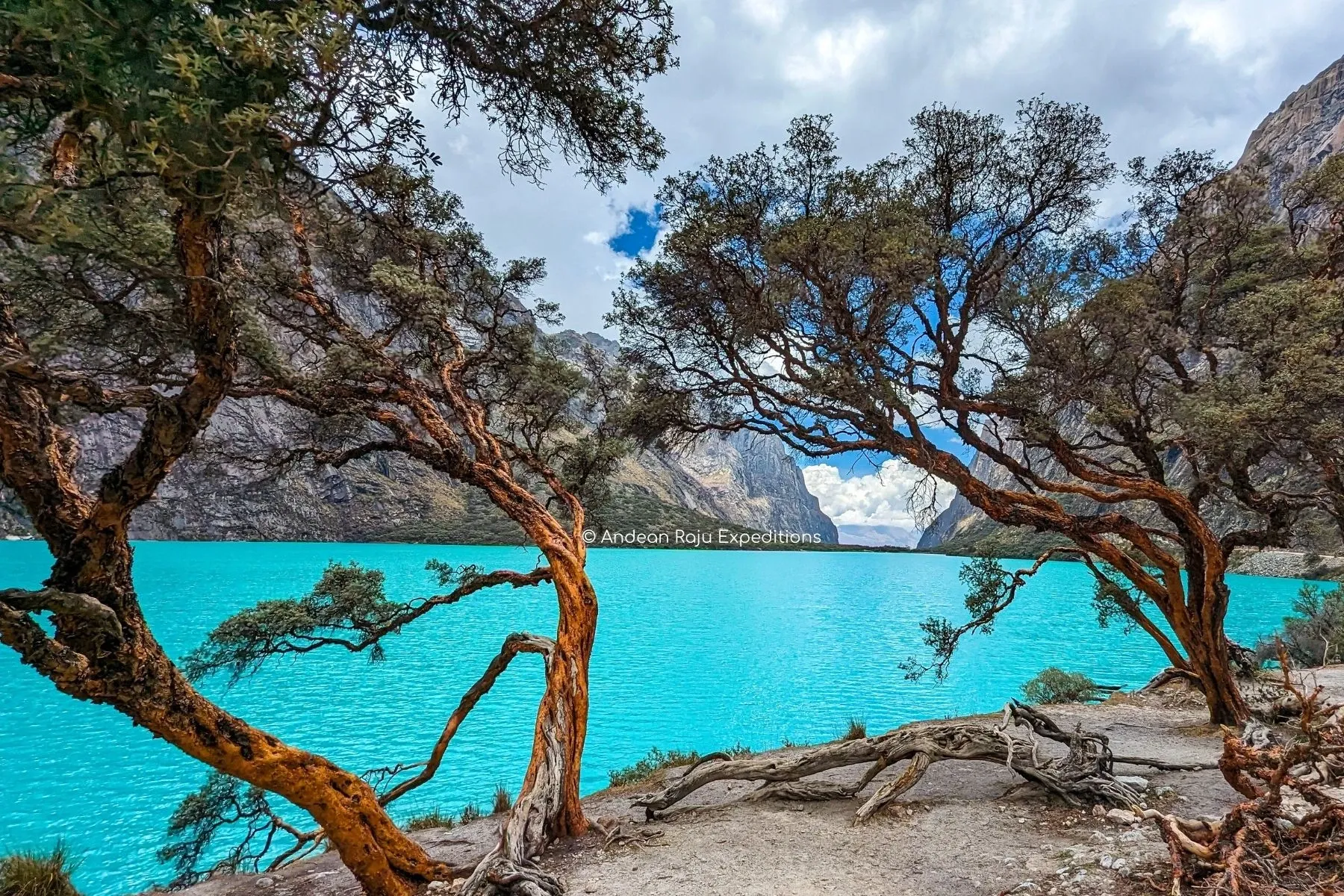 Paisaje de montaña 8