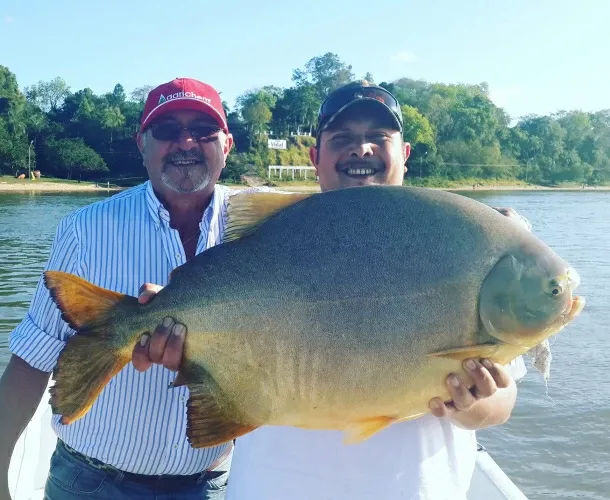 Paisaje de montaña 24