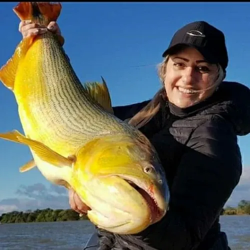 Paisaje de montaña 25