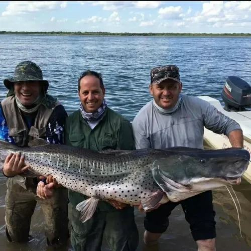 Paisaje de montaña 26