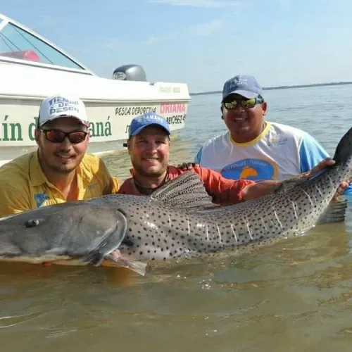 Paisaje de montaña 33