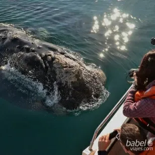 Paisaje de montaña 5