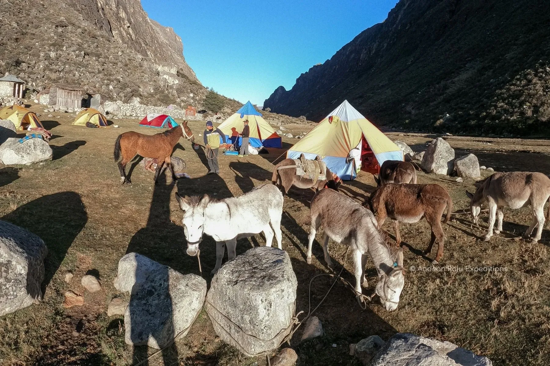 Paisaje de montaña 9