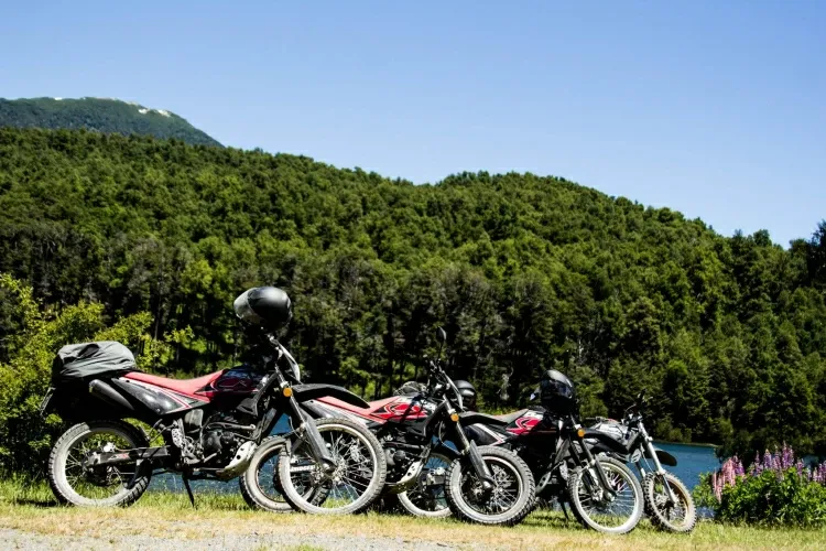 Paisaje de montaña 15