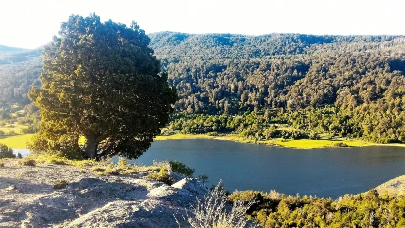 Paisaje de montaña 5