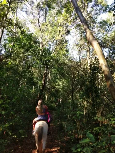 Paisaje de montaña 6