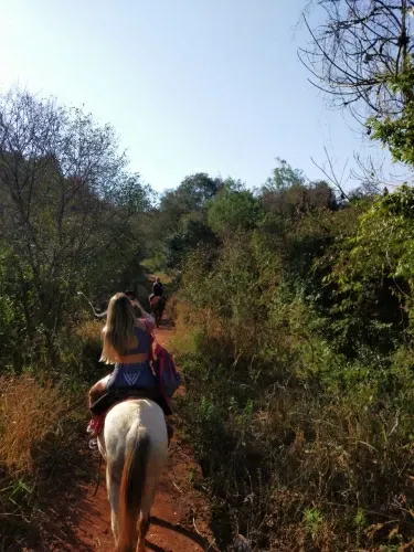 Paisaje de montaña 7