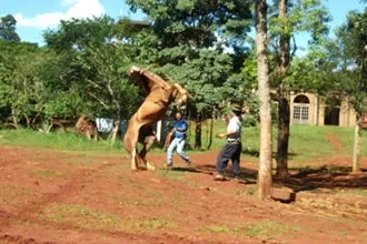 Paisaje de montaña 10