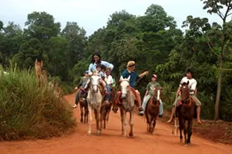 Paisaje de montaña 1