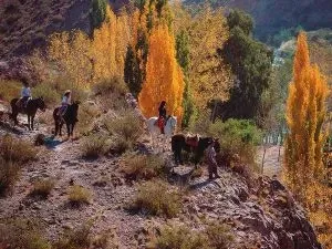 Paisaje de montaña 3