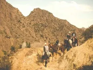 Paisaje de montaña 6