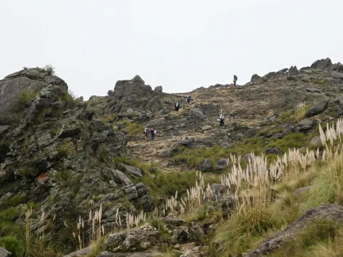 Paisaje de montaña 5