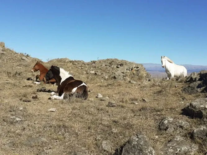 Paisaje de montaña 14