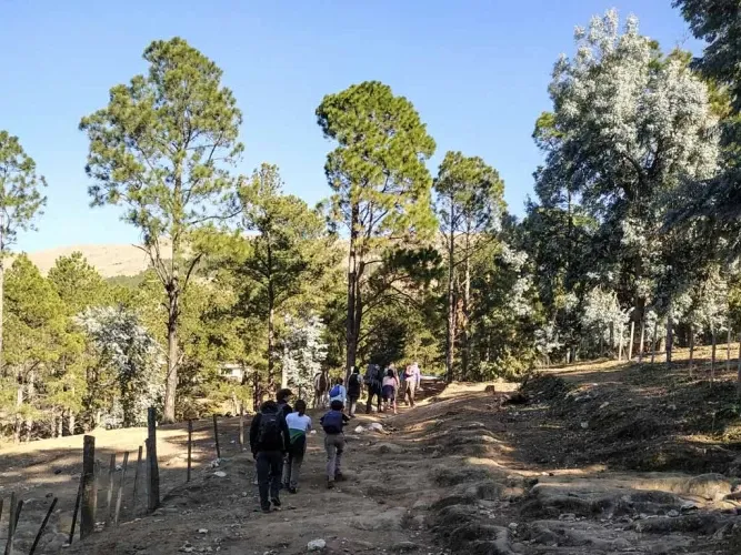 Paisaje de montaña 20