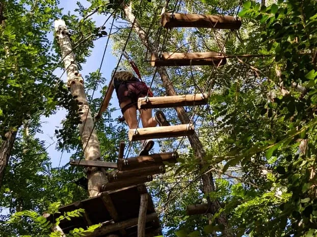 Paisaje de montaña 21