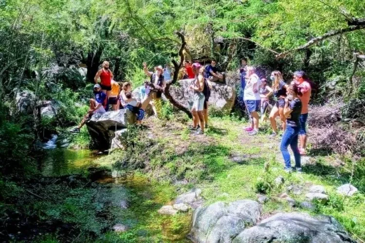 Paisaje de montaña 22