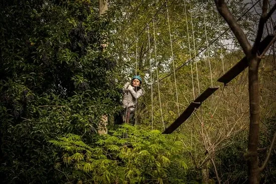 Paisaje de montaña 24