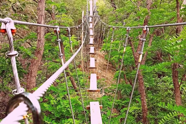 Paisaje de montaña 25