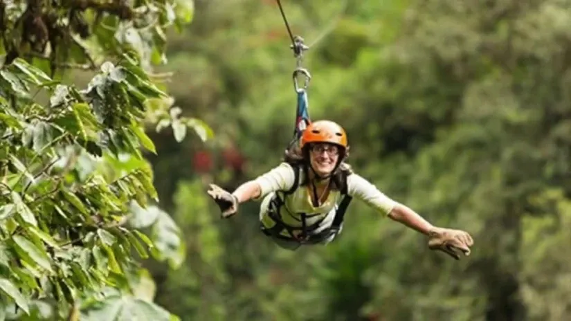 Paisaje de montaña 28