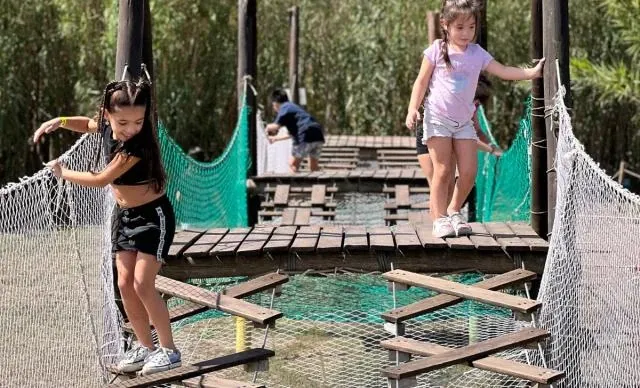 Paisaje de montaña 16