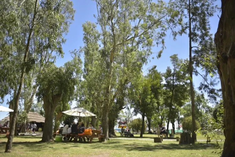 Paisaje de montaña 24