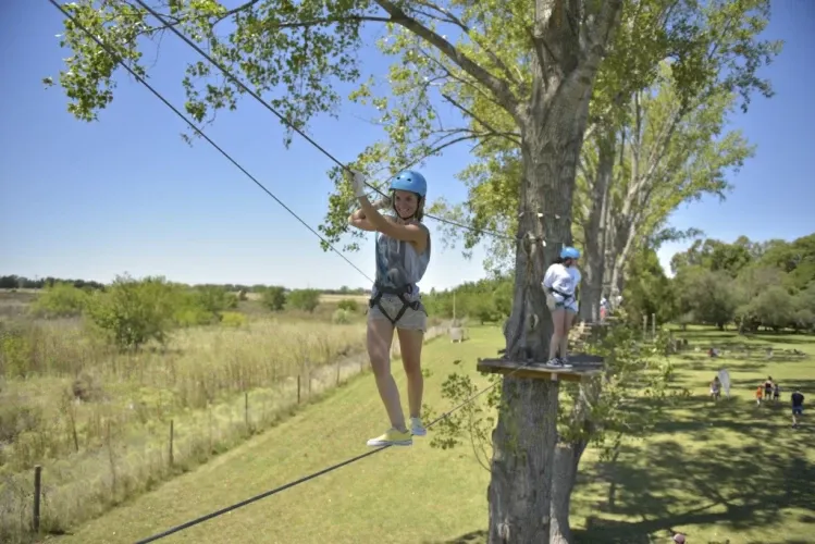 Paisaje de montaña 25