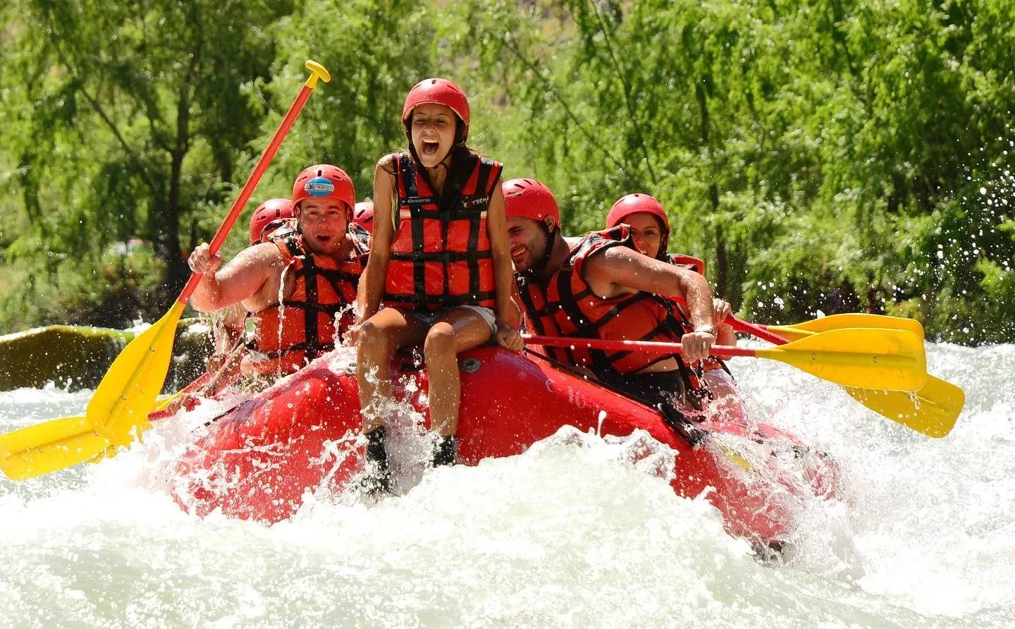 Paisaje de montaña 9