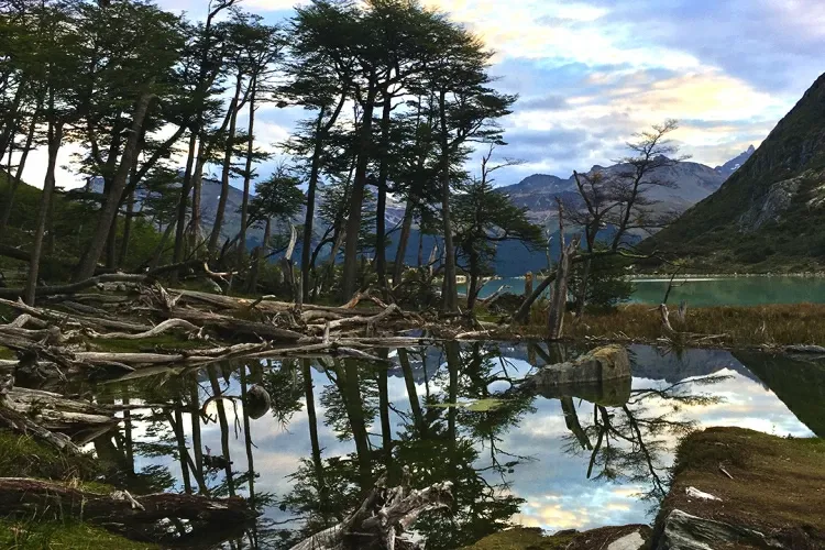 Paisaje de montaña 14