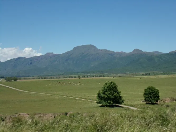 Paisaje de montaña 14