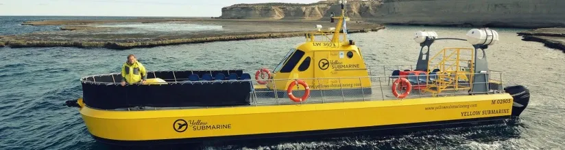 Paisaje de montaña 3