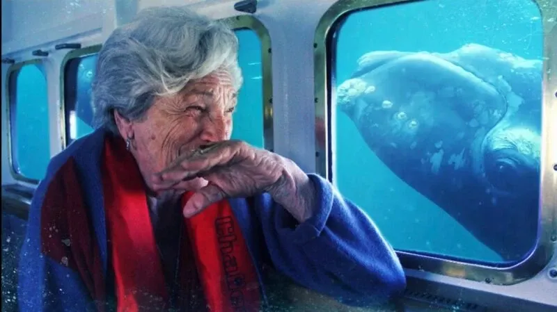 Paisaje de montaña 4