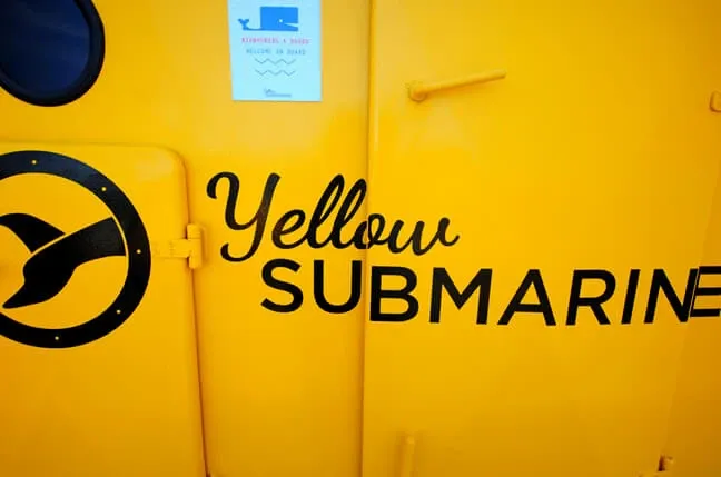 Paisaje de montaña 5