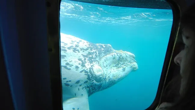 Paisaje de montaña 6