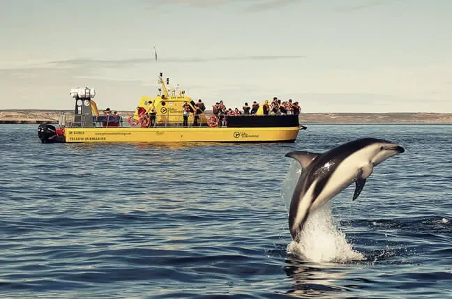 Paisaje de montaña 10