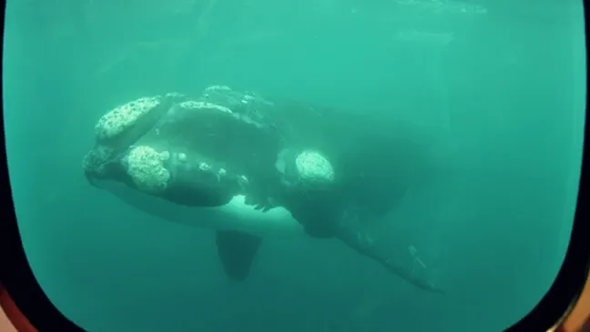 Paisaje de montaña 11