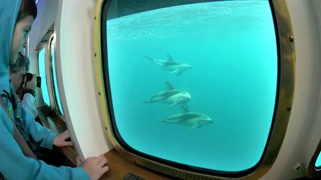 Paisaje de montaña 12