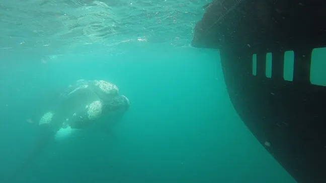 Paisaje de montaña 13