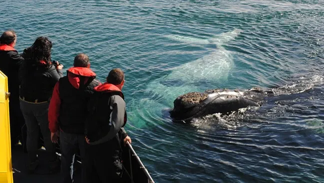 Paisaje de montaña 15