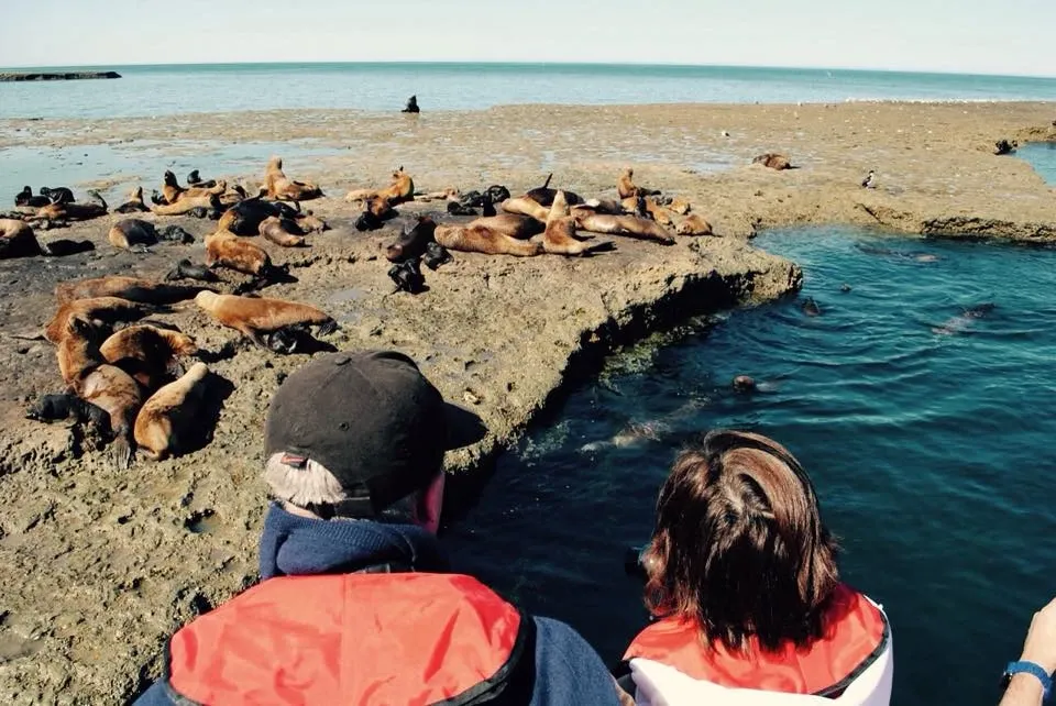 Paisaje de montaña 17