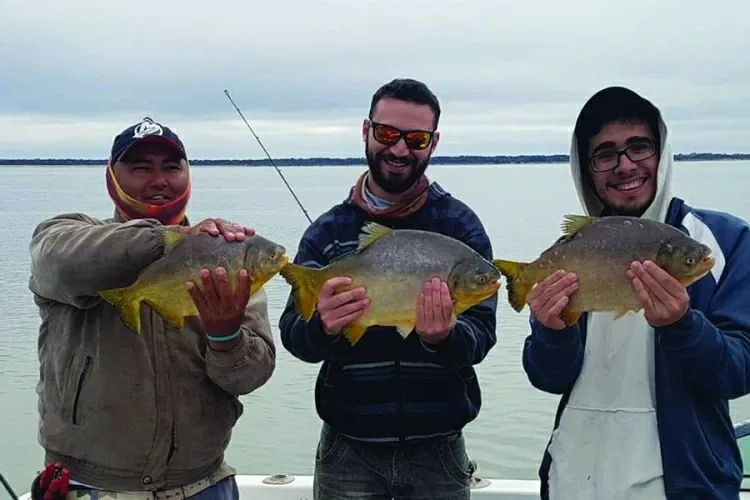 Paisaje de montaña 13