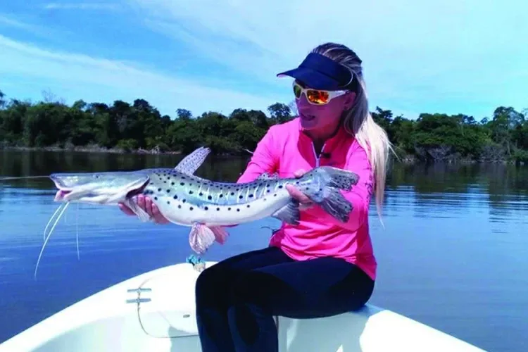 Paisaje de montaña 14